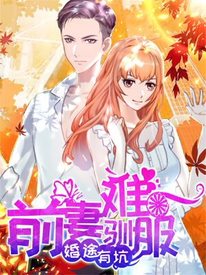 婚途有坑:前妻难驯服,婚途有坑:前妻难驯服漫画