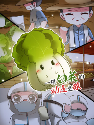 一棵白菜的动迁之旅,一棵白菜的动迁之旅漫画