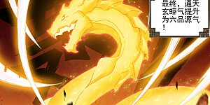 第119话下 分圣龙气