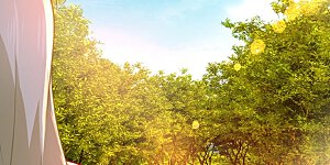 第278话 我给过你机会了