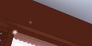 第8话 被王爷戏弄