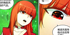 第91话 凤凰遗族3