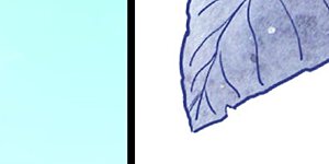 第411话 爱自己就是最大帮助