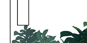 第243话 彻查林檎宫