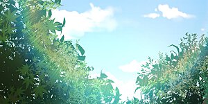 第5话 一不做二不休