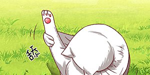 第90话 白猫能言，解药同寻