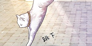 第101话 白猫吐人，以证清白