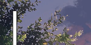 第373话 虎毒不食子