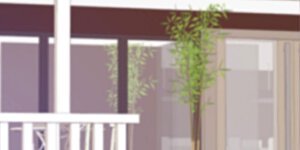 第210话 人在家中坐，钱从天上来