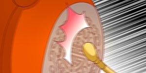 第148话 封你为后