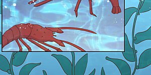 第18话 搬石头砸脚