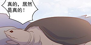 第21话 神秘斑鳖