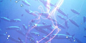 第177话 心地善良萧狮虎