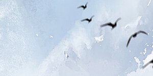 第5话 惊鸿一瞥