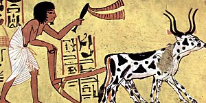 王的茶话会38 古埃及的人民爱劳动