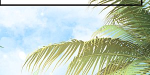 第101话 就是要这么霸道爱你！