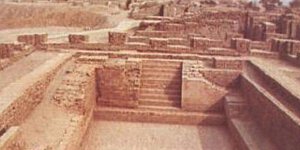 王的茶话会42 打工人都在干啥？