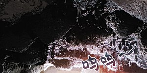 番外篇 更刺激的事