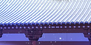 第57话 月下妖精