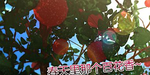 第19话 老八进厕所——找死！