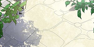 第254话 不再需要你2