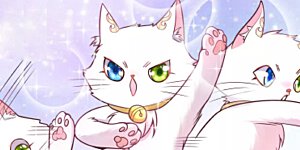 周周表情包 及福利活动