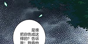 第26话 叶家年会