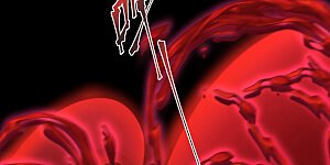 第219话 都给我留下来~