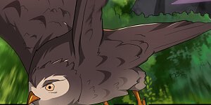 第324话 闯万兽山