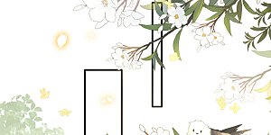 第51话 这才一晚，就喜当娘了？