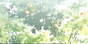 第137话 玉面剥皮小郎君