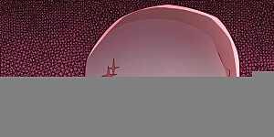 第337话 你当我傻吗？