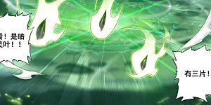 第150话 争暗灵叶