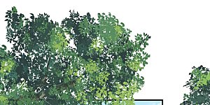 第41话 他提议的？！