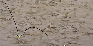 第137话 神秘的力量