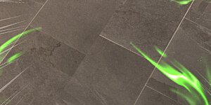 第213话 王族血脉