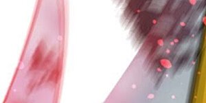 第361话 杀破诸天