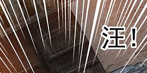 第251话 郁菲雪失踪了！