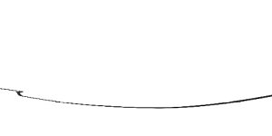 第17话 今日就是你的死期！