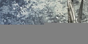 第164话 五大势力？