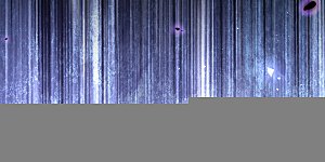 第29话 真是个傻瓜