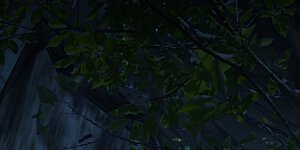 第192话 只能用拳头说话了