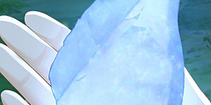 第256话 看会日出吧！