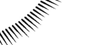 第143话 气运玉诀