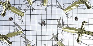 第186话 最后的胜利者