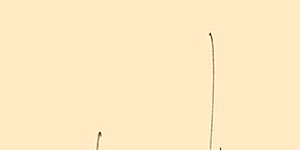 2022年5月7日请假条 