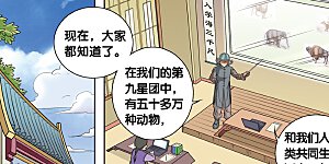 第35话 蜂鸟和雨燕