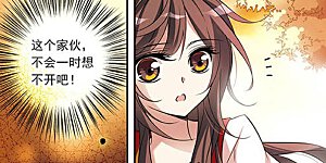 第71话 流星之泪