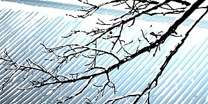 番外篇2 晴明之香雪海1