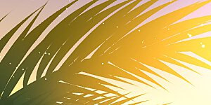 第2季第141话 前往奇琴伊察2